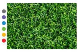 Read more about the article Sztuczna trawa na balkon – TOP 5 najlepszych modeli 2025